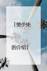 樊少使的介绍