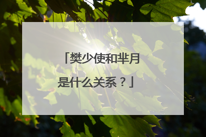 樊少使和芈月是什么关系？