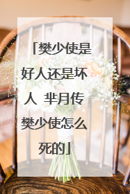 樊少使是好人还是坏人 芈月传樊少使怎么死的