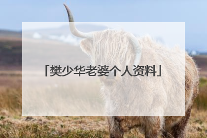 樊少华老婆个人资料