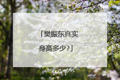 樊振东真实身高多少?