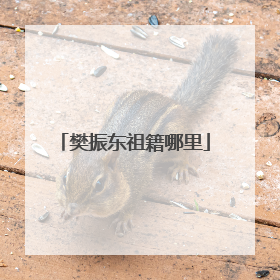 樊振东祖籍哪里