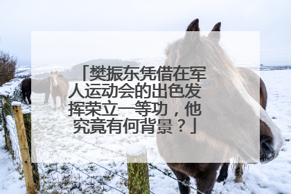 樊振东凭借在军人运动会的出色发挥荣立一等功，他究竟有何背景？