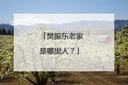 樊振东老家是哪里人?