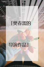 樊春雷的导演作品