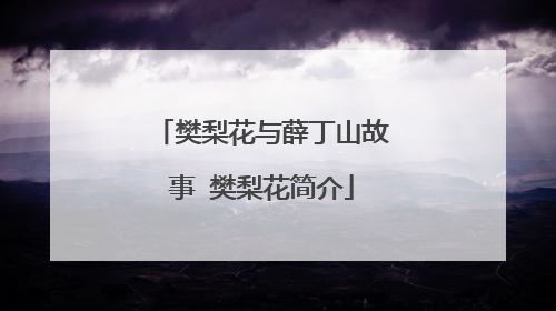 樊梨花与薛丁山故事 樊梨花简介