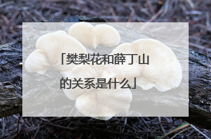 樊梨花和薛丁山的关系是什么