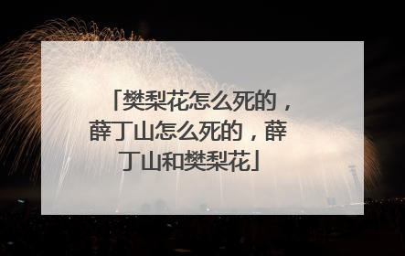 樊梨花怎么死的，薛丁山怎么死的，薛丁山和樊梨花