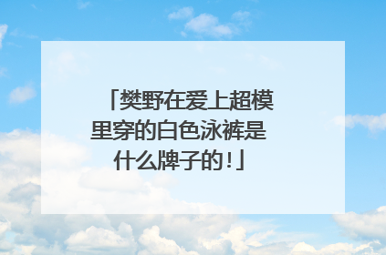 樊野在爱上超模里穿的白色泳裤是什么牌子的!