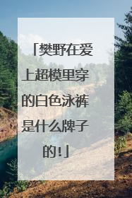 樊野在爱上超模里穿的白色泳裤是什么牌子的!