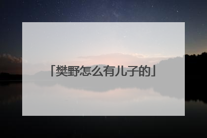 樊野怎么有儿子的