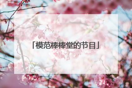 模范棒棒堂的节目