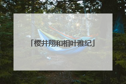 樱井翔和相叶雅纪