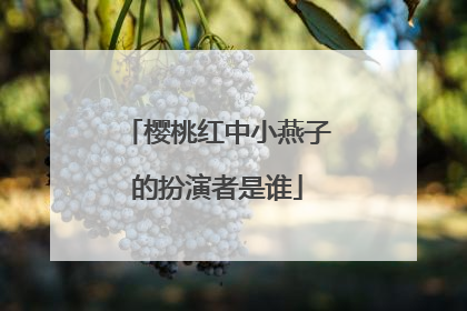 樱桃红中小燕子的扮演者是谁