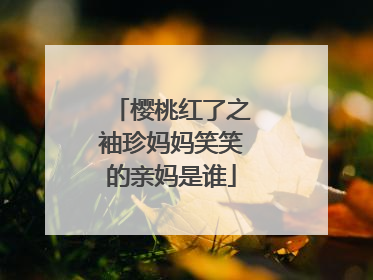 樱桃红了之袖珍妈妈笑笑的亲妈是谁