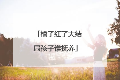 橘子红了大结局孩子谁抚养