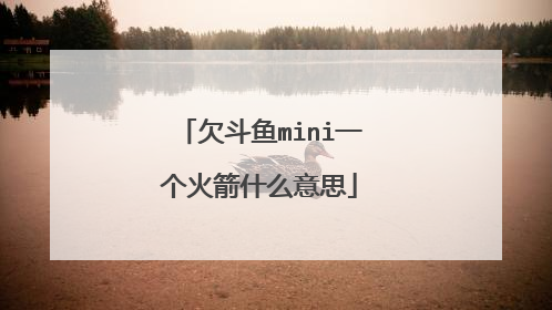 欠斗鱼mini一个火箭什么意思