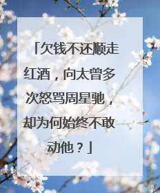 欠钱不还顺走红酒，向太曾多次怒骂周星驰，却为何始终不敢动他？