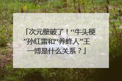 次元壁破了!“牛头梗”孙红雷和“养蜂人”王一博是什么关系?