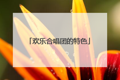 欢乐合唱团的特色