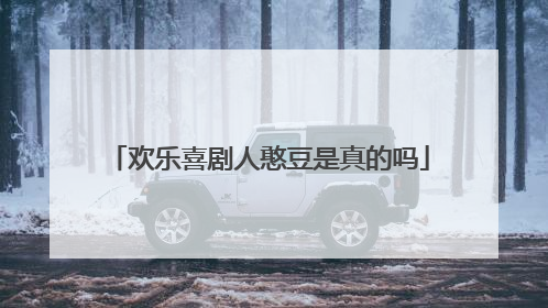 欢乐喜剧人憨豆是真的吗