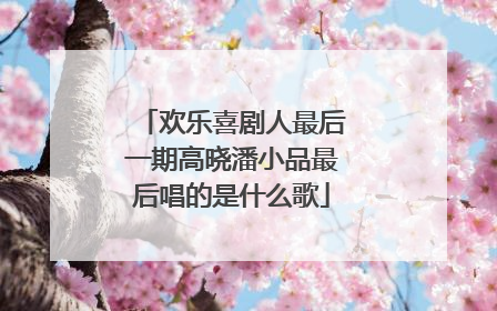 欢乐喜剧人最后一期高晓潘小品最后唱的是什么歌