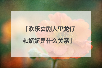 欢乐喜剧人里龙仔和娇娇是什么关系