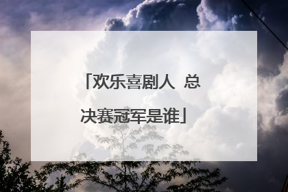 欢乐喜剧人 总决赛冠军是谁