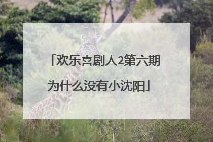 欢乐喜剧人2第六期为什么没有小沈阳