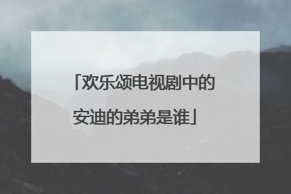 欢乐颂电视剧中的安迪的弟弟是谁