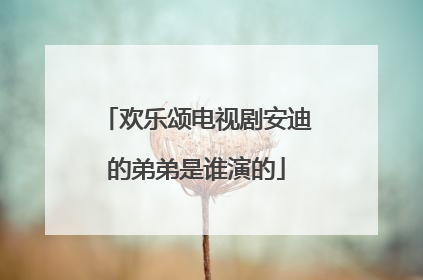 欢乐颂电视剧安迪的弟弟是谁演的