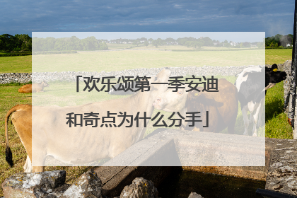 欢乐颂第一季安迪和奇点为什么分手