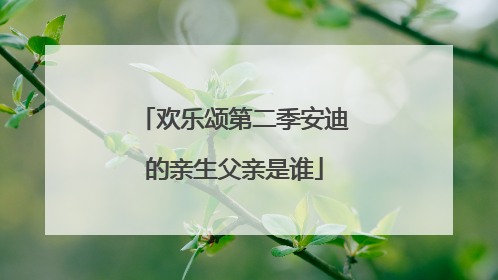 欢乐颂第二季安迪的亲生父亲是谁