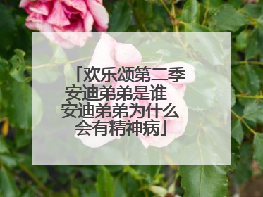 欢乐颂第二季安迪弟弟是谁 安迪弟弟为什么会有精神病