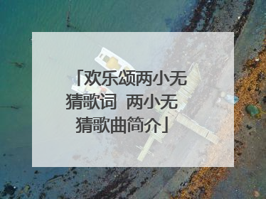 欢乐颂两小无猜歌词 两小无猜歌曲简介