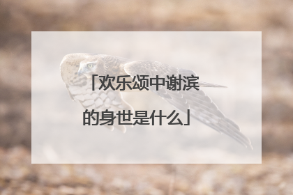 欢乐颂中谢滨的身世是什么