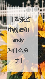 欢乐颂中魏渭和andy为什么分手