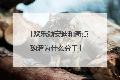 欢乐颂安迪和奇点魏渭为什么分手