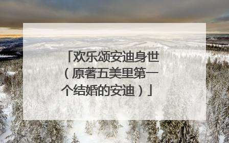 欢乐颂安迪身世（原著五美里第一个结婚的安迪）