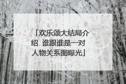 欢乐颂大结局介绍 谁跟谁是一对人物关系图曝光