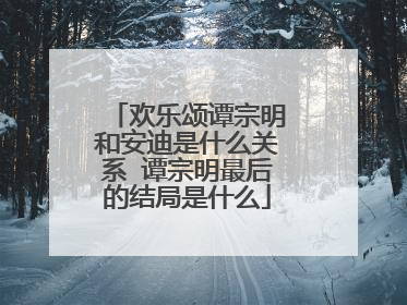 欢乐颂谭宗明和安迪是什么关系 谭宗明最后的结局是什么
