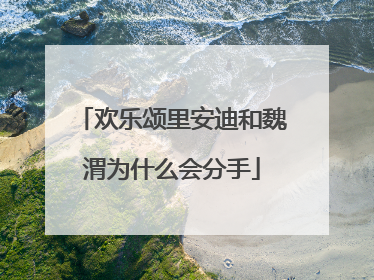 欢乐颂里安迪和魏渭为什么会分手