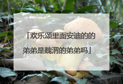 欢乐颂里面安迪的的弟弟是魏渭的弟弟吗