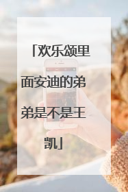 欢乐颂里面安迪的弟弟是不是王凯