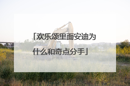 欢乐颂里面安迪为什么和奇点分手