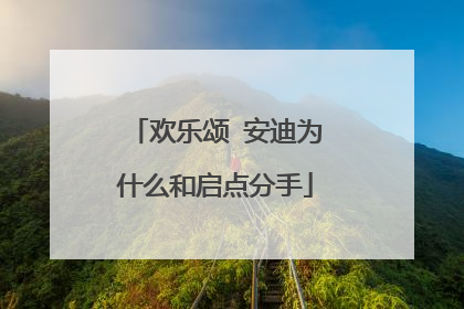 欢乐颂 安迪为什么和启点分手