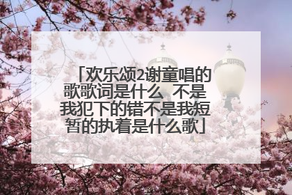 欢乐颂2谢童唱的歌歌词是什么 不是我犯下的错不是我短暂的执着是什么歌