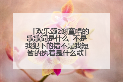 欢乐颂2谢童唱的歌歌词是什么 不是我犯下的错不是我短暂的执着是什么歌