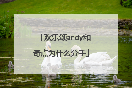 欢乐颂andy和奇点为什么分手