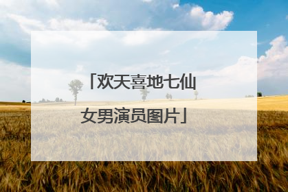 欢天喜地七仙女男演员图片